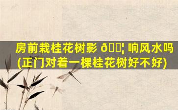 房前栽桂花树影 🐦 响风水吗(正门对着一棵桂花树好不好)